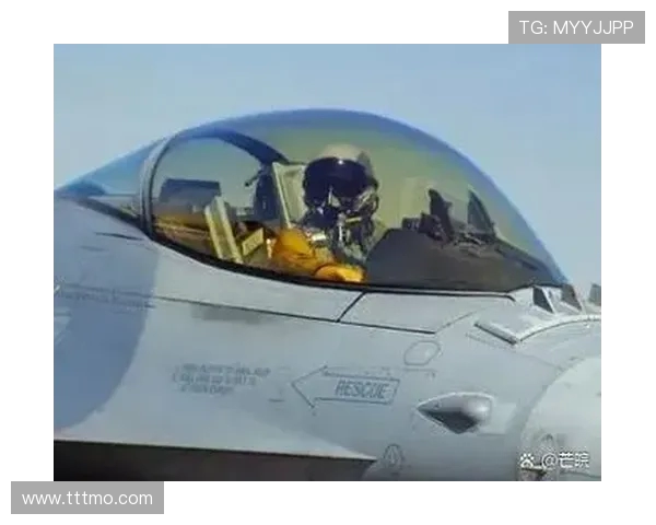 战斗机先进机身涂料的维护便利性