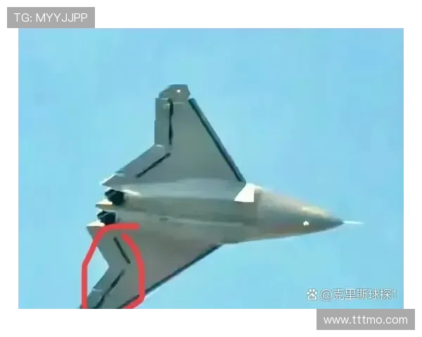 战斗机先进机翼的柔性结构设计